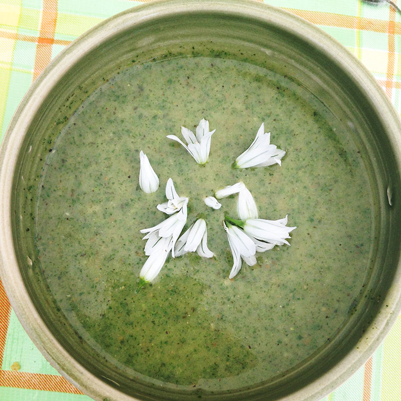 Nettle soup with wild leek blossoms